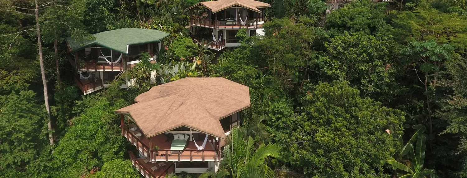 6 Best Costa Rica Treehouse Hotels