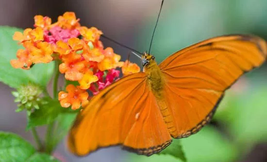 6 Essential Family Travel Tips From Costa Rica Experts