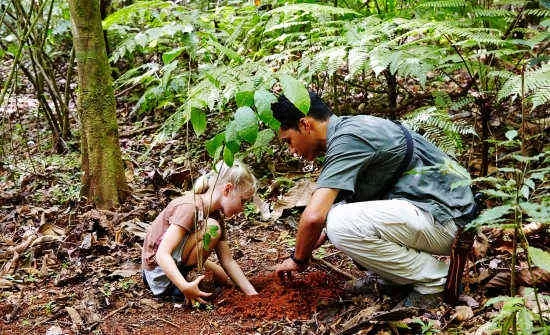 6 Ways Costa Rica is Leading Ecotourism