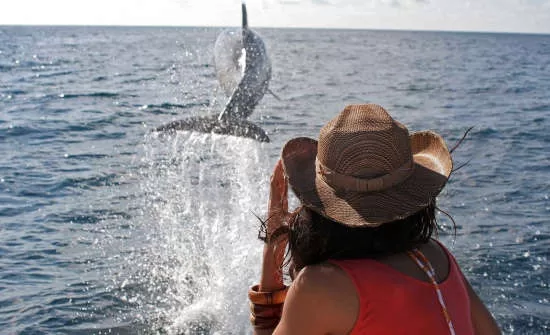 7 Best Places to See Wildlife in Costa Rica