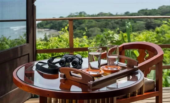Things to Know Before Visiting the Osa Peninsula