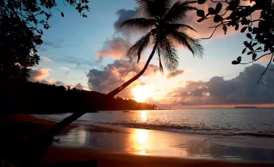 Things to Know Before Visiting the Osa Peninsula