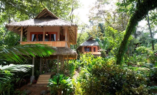 Things to Know Before Visiting the Osa Peninsula