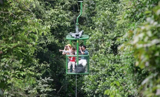 Best Family Vacation Spots in Costa Rica