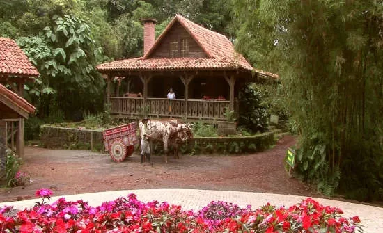 Best Family Vacation Spots in Costa Rica