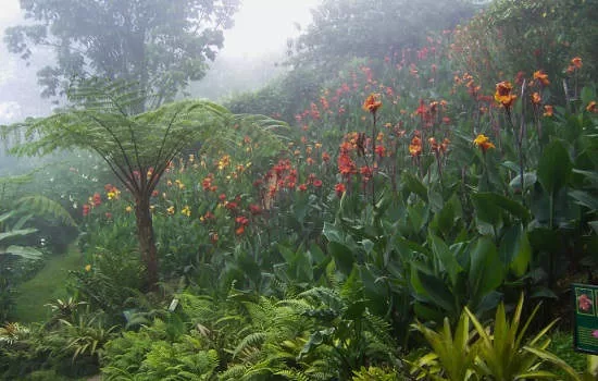 Best Time to Visit Costa Rica: What to Expect Month by Month