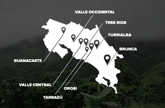 Cafe Britt coffee regions