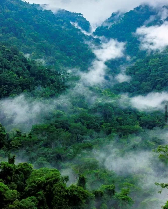 Carara National Park