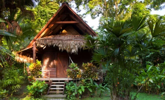 Costa Rica Caribbean Coast Exposed