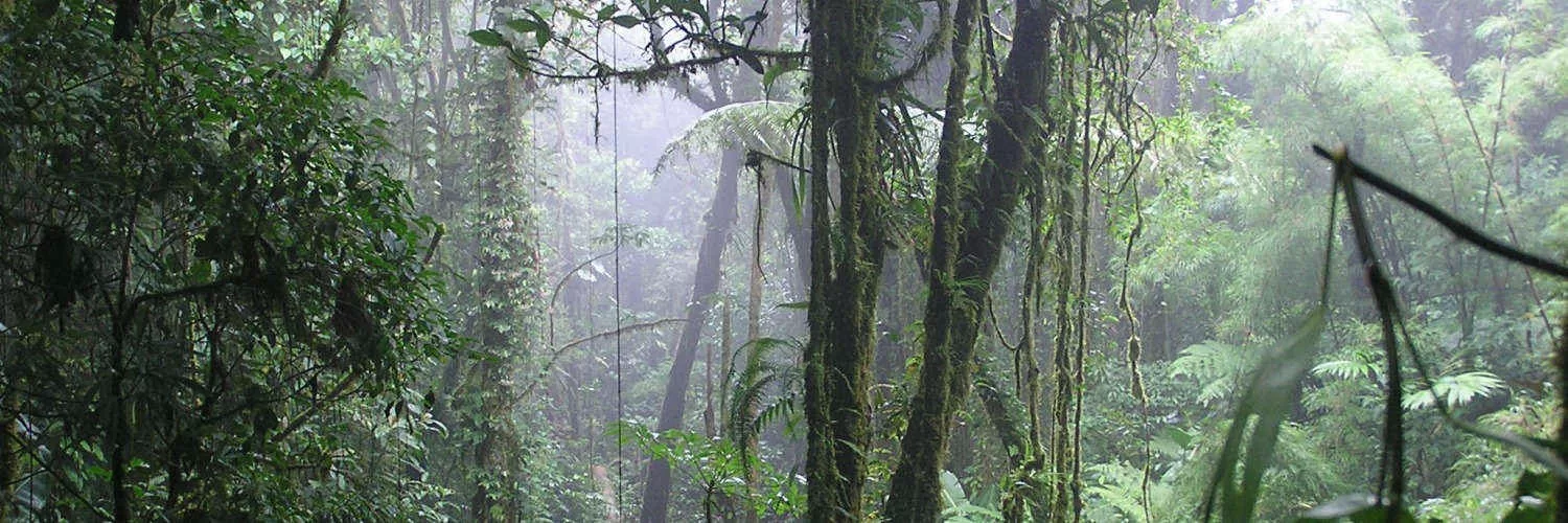 Ready for a Change of Scenery in Costa Rica?