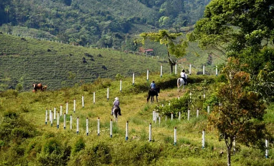 Costa Rica Honeymoon Ideas