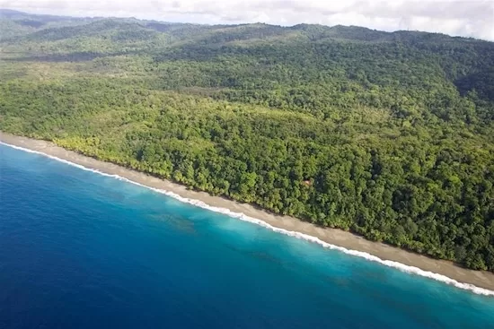 Costa Rica rainforests: Corcovado