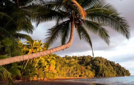 Costa Rica sustainable travel