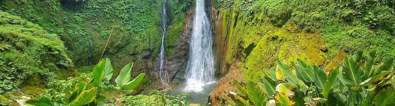 Bajos del Toro Waterfall Hike Guide