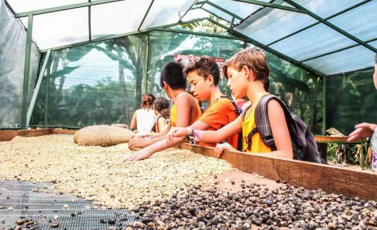 Costa Rica Family Vacation Ideas