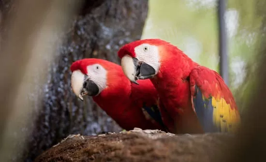Easier Travel with Kids in Costa Rica