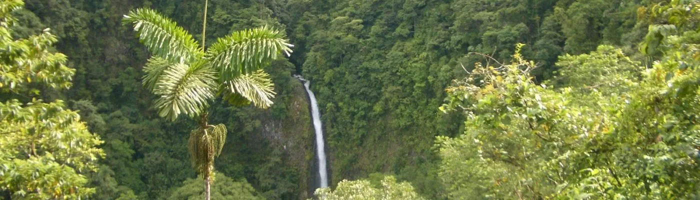 6 Ways Costa Rica is Leading Ecotourism