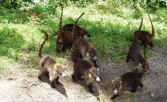 6 Essential Family Travel Tips From Costa Rica Experts