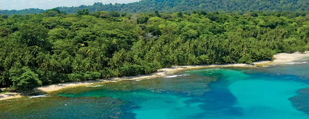 Gandoca Manzanillo Wildlife Refuge Guide