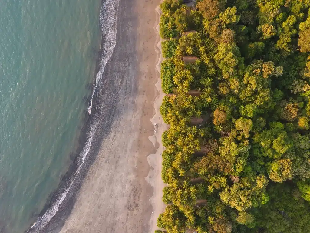 Isla Palenque Resort beachfront