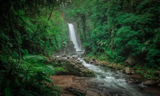 La Paz Waterfall Gardens Review