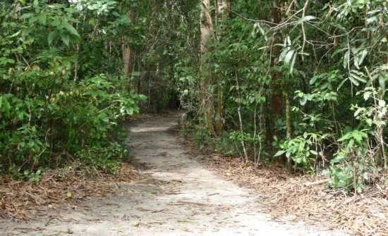 9 Costa Rica Family Vacation Ideas