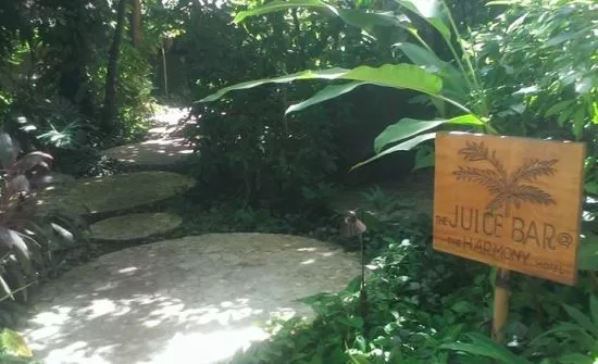A Costa Rica Blue Zone Retreat on the Nicoya Peninsula