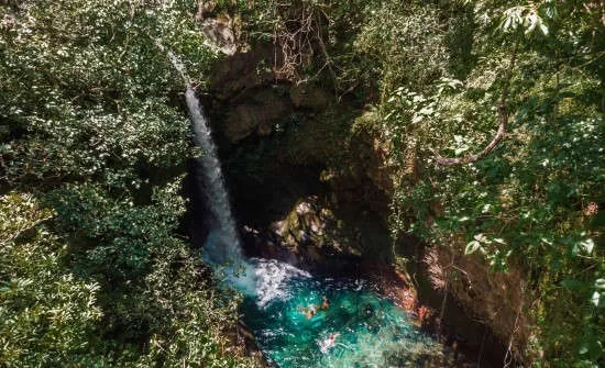 Oropendola Waterfall