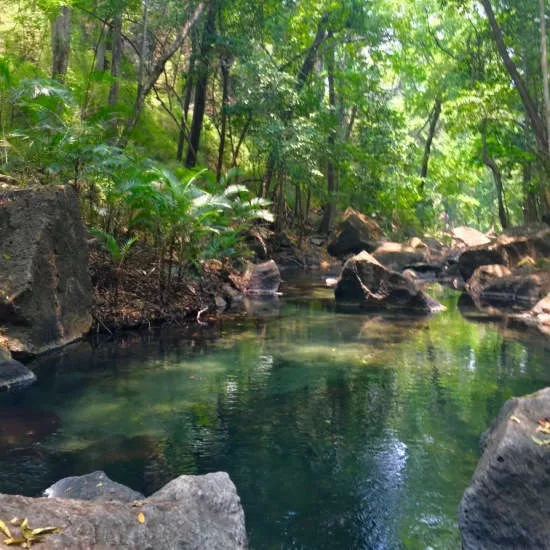 Rio Perdido Hot Springs Hotel Review