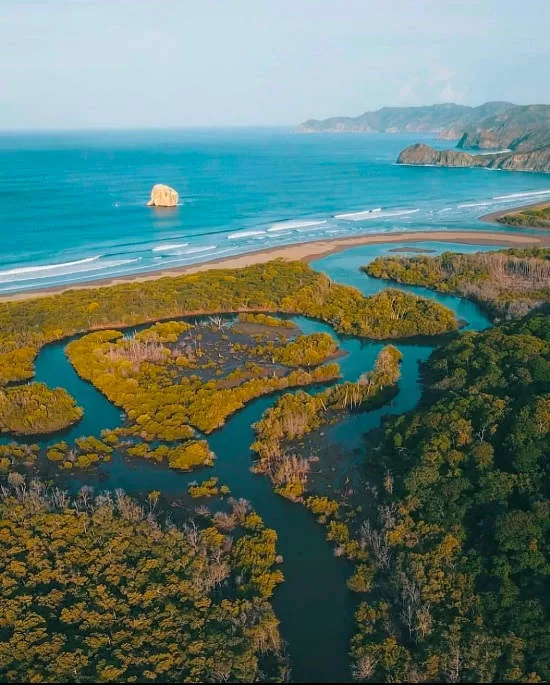 Roca Bruja paulurena