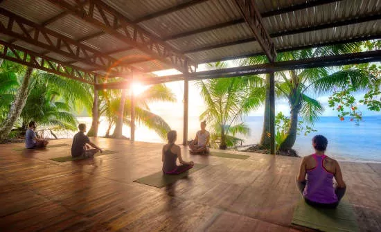 Solo Rainforest Travel Destinations
