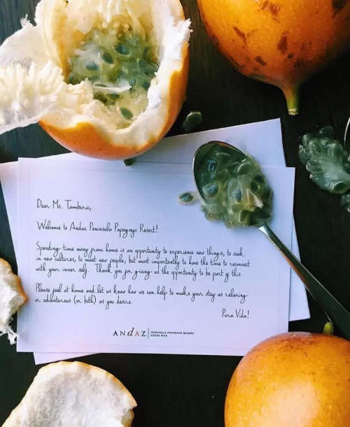 Andaz Resort Inspires Trending Travel Bloggers