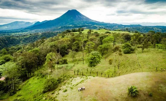 The Springs Resort Opens New Luxury Aracari Building