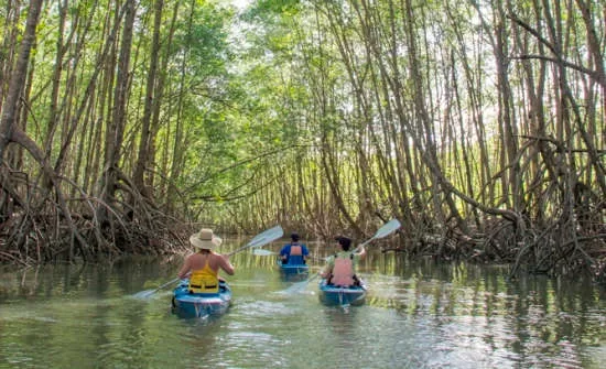 Top Costa Rica Adventure Tours For Active Travelers