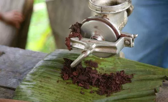 10 Costa Rica Must-Do Bucket List Experiences
