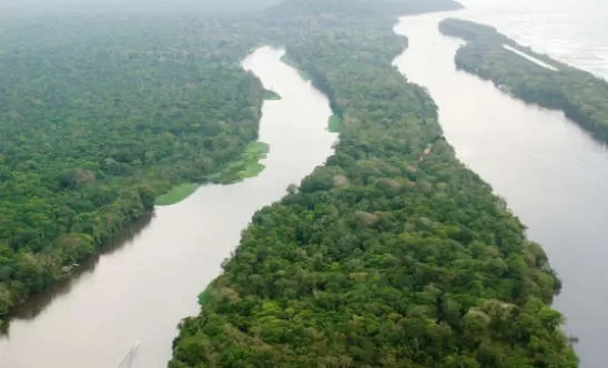 Destination Spotlight: Tortuguero