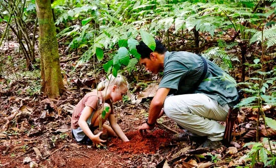 Treeplanting at Lapa Rios Ecolodge