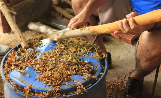 Top Costa Rica Gastro Tours for Foodies