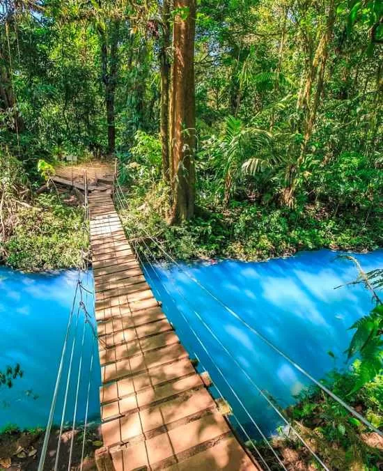 Rio Celeste Waterfall & Tenorio Volcano National Park Guide