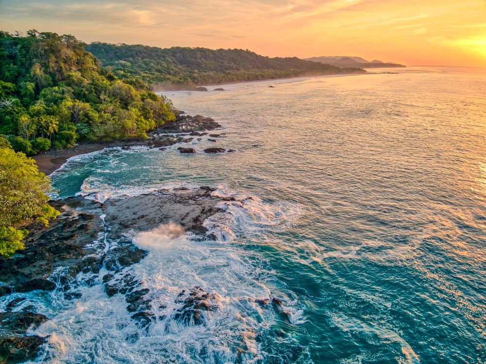 PROMOTION: Blue Zone Family Escape