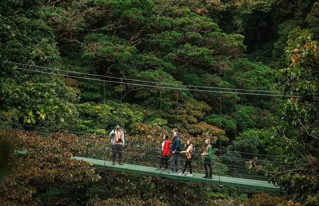 Cloud Forest, Island & Rainforest Beach Holiday