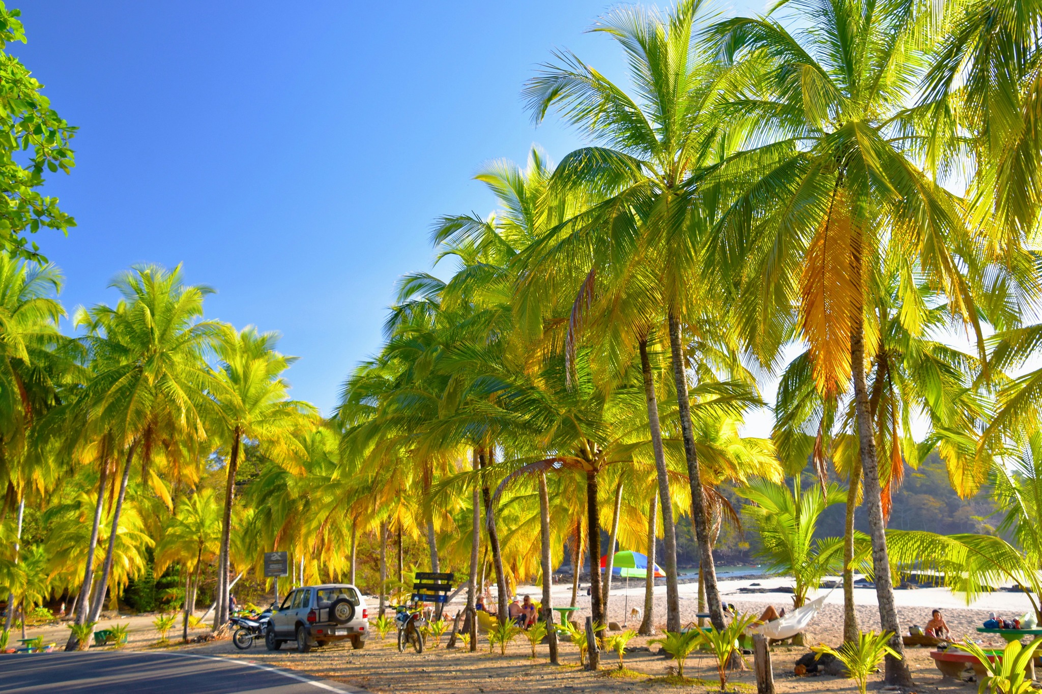 Costa Rica for the Holidays: Christmas & New Year’s Travel Guide