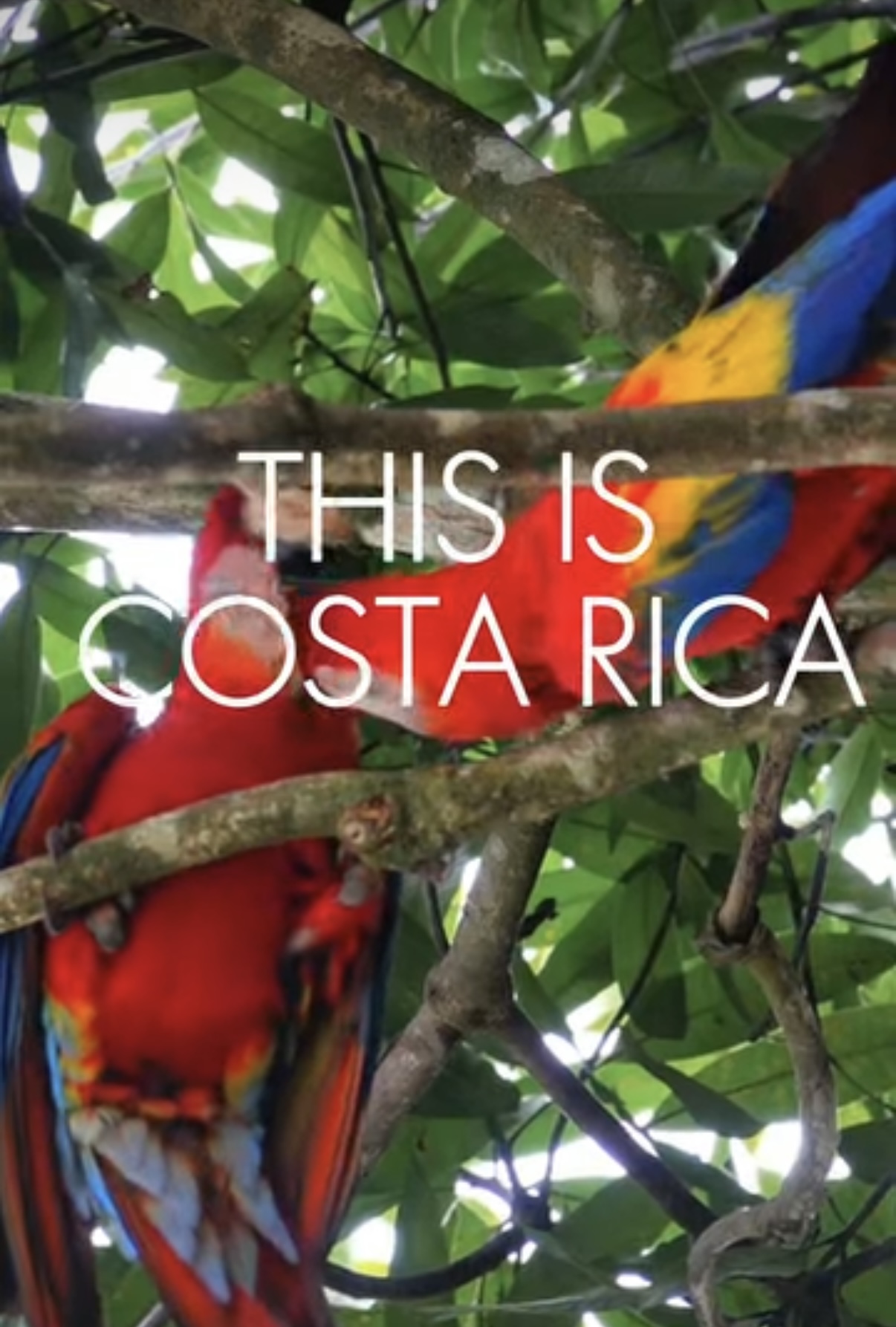 The Golfo Dulce Highlight Reel