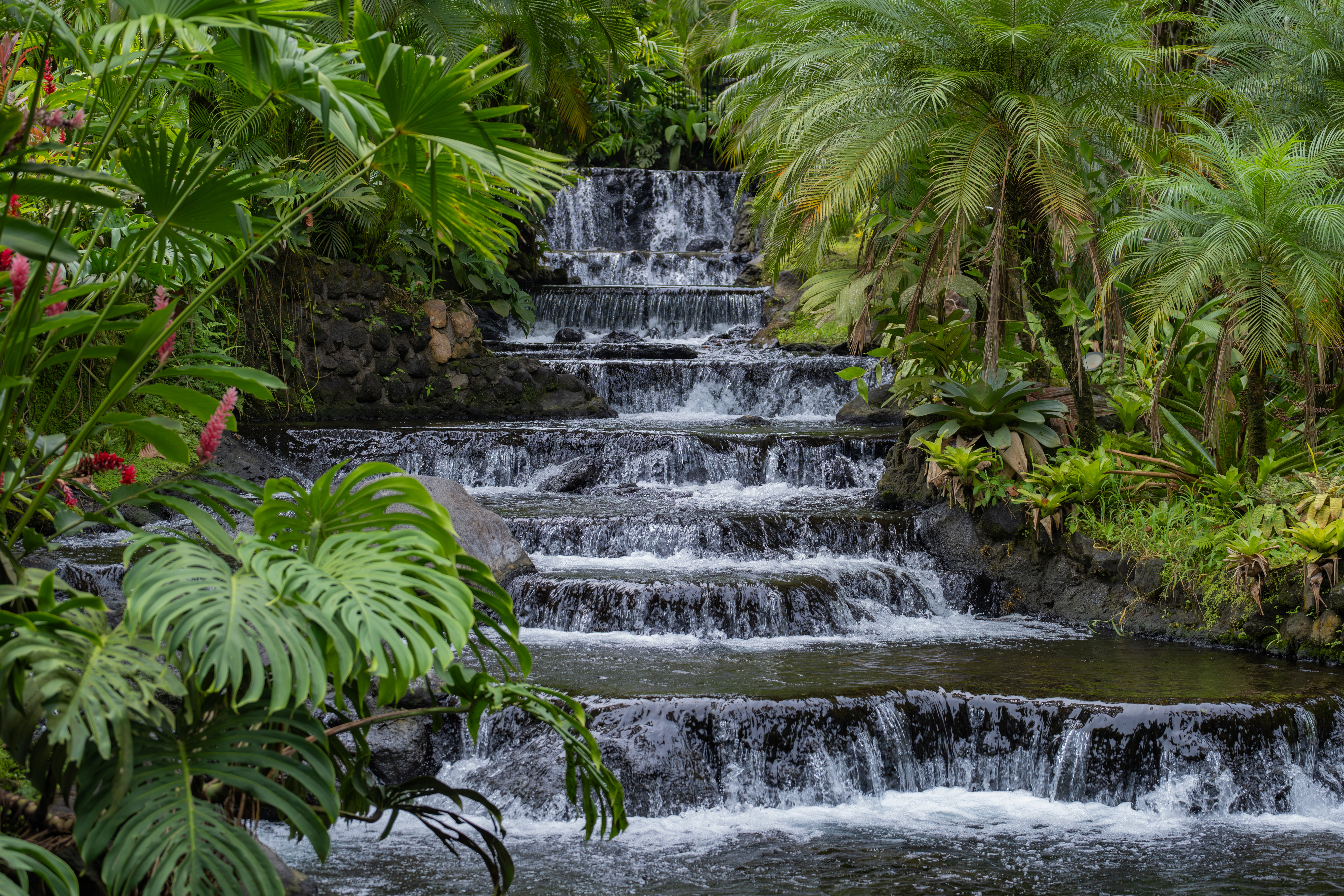 Christmas in Paradise: Papagayo & Arenal