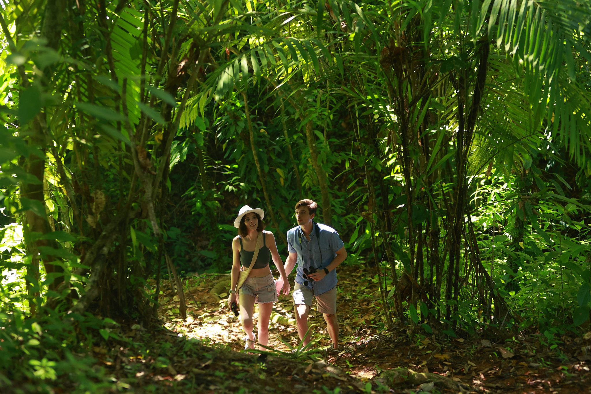 Jungle Trails around Hotel Three Sixty, Ojochal