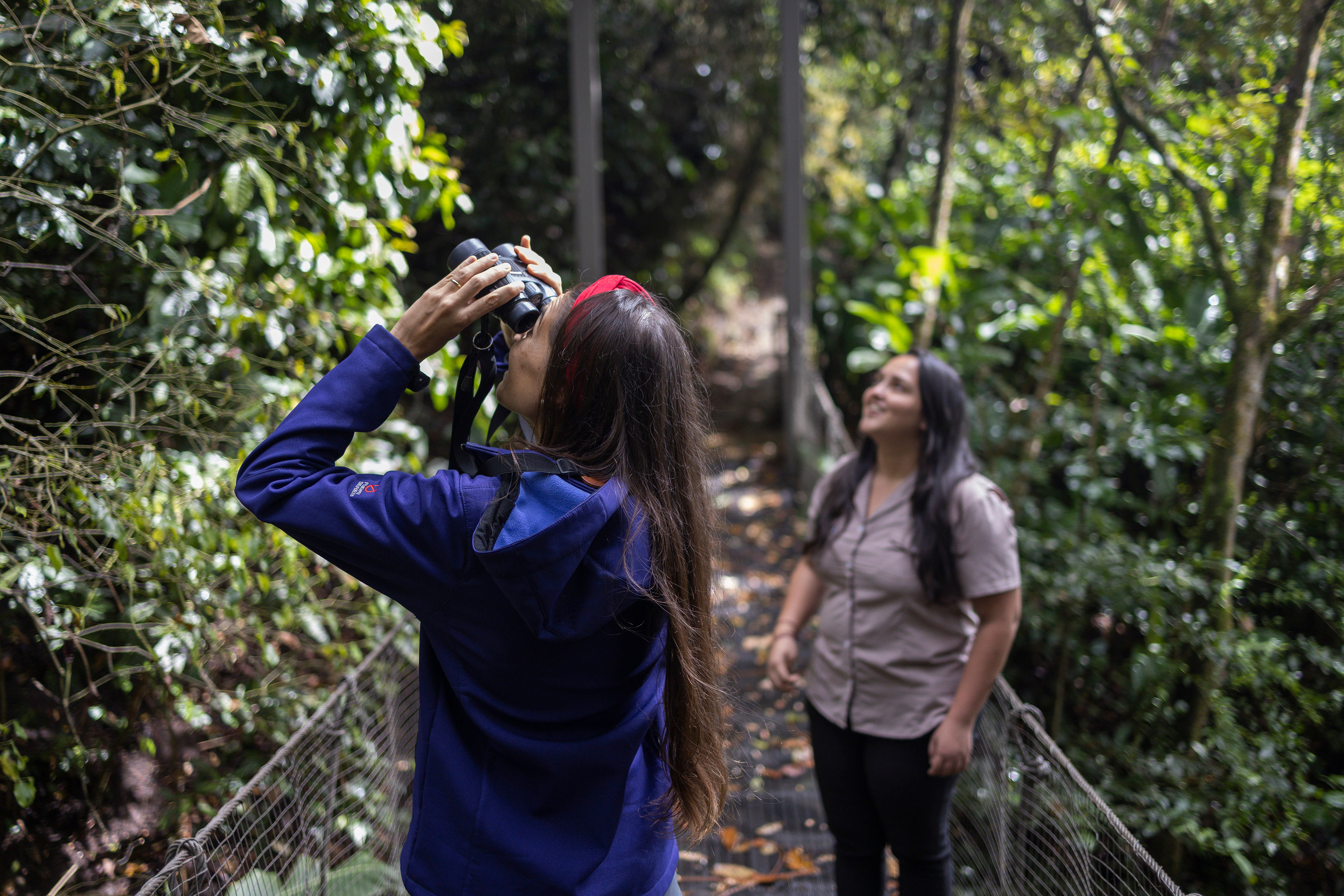 Senda Monteverde Wildlife Season.jpeg